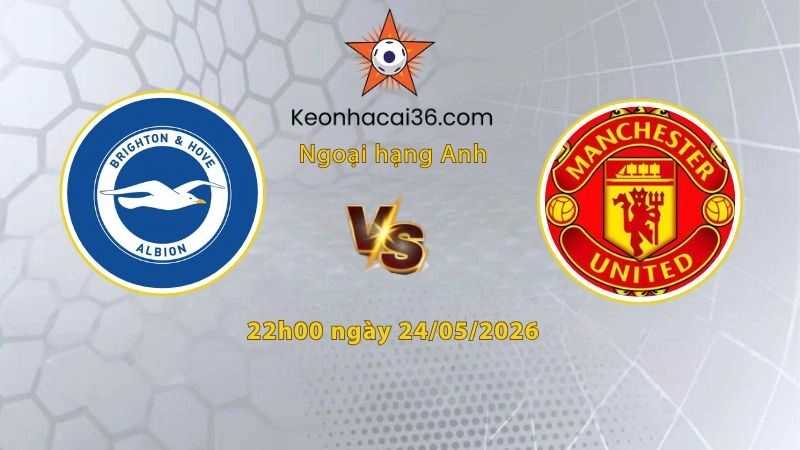 Brighton vs MU
