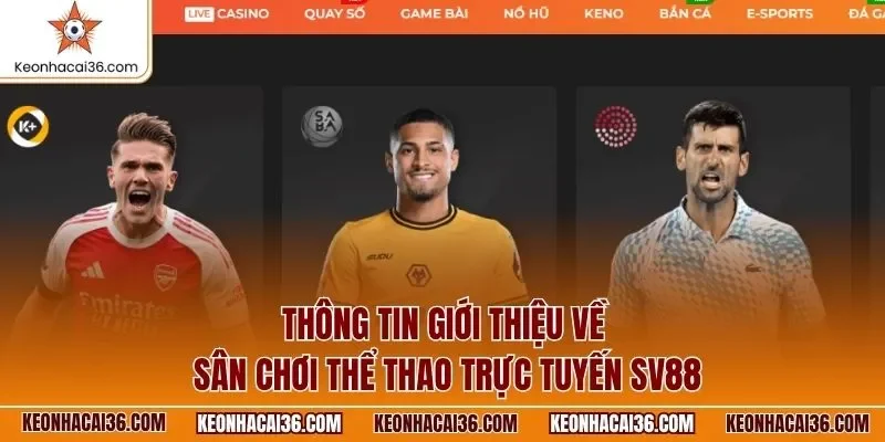 Thông tin giới thiệu về sân chơi thể thao trực tuyến SV88