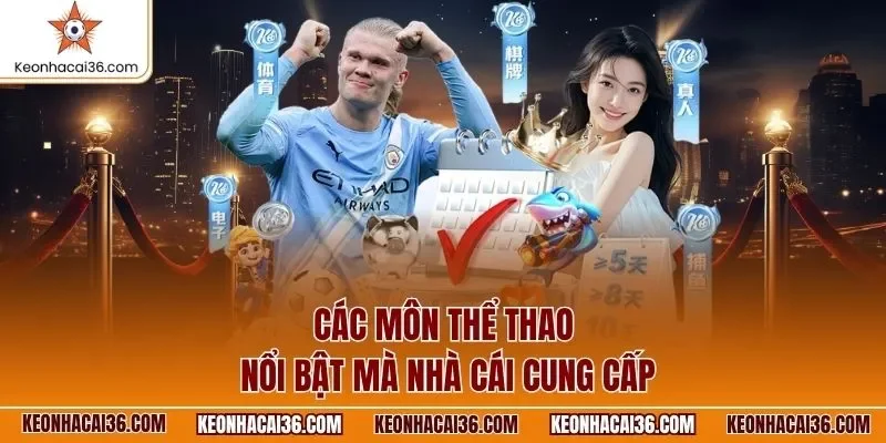 Các môn thể thao nổi bật mà nhà cái cung cấp