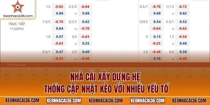 Nhà cái xây dựng hệ thống cập nhật kèo với nhiều yếu tố